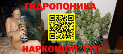 прущие грибы Пугачёв