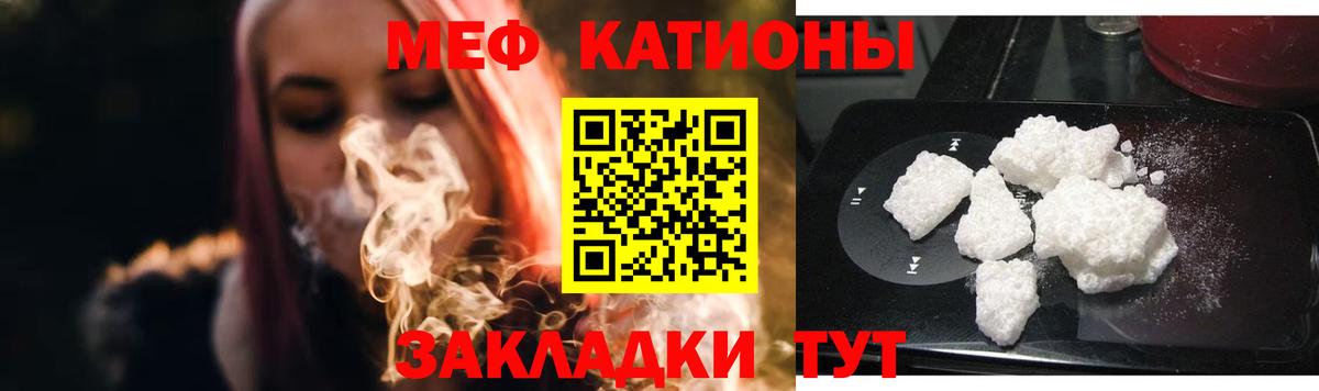 МЕФ  Тамбов