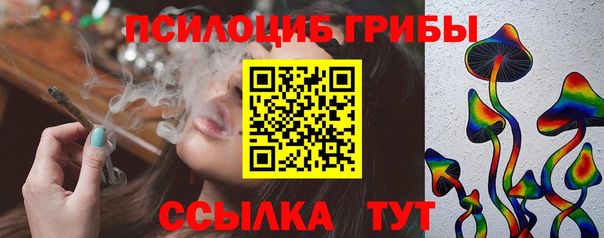 Псилоцибиновые грибы MAGIC MUSHROOMS Тамбов